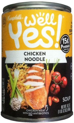 (image for) CAMPBELL'S WELL YES! CHICKEN NOODLE SOUP - Click Image to Close